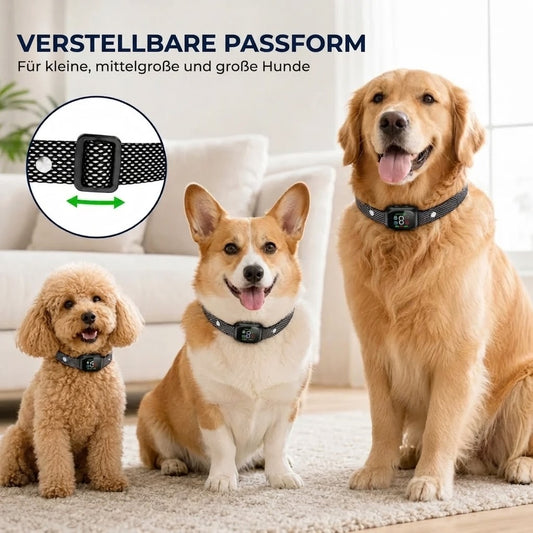 Anti-Bell-Halsband – Tierfreundlich und verstellbar